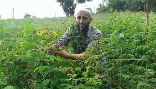 Vrasja e imamit në Zlipotok, kërkohet paraburgim për autorin e dyshuar dhe babanë