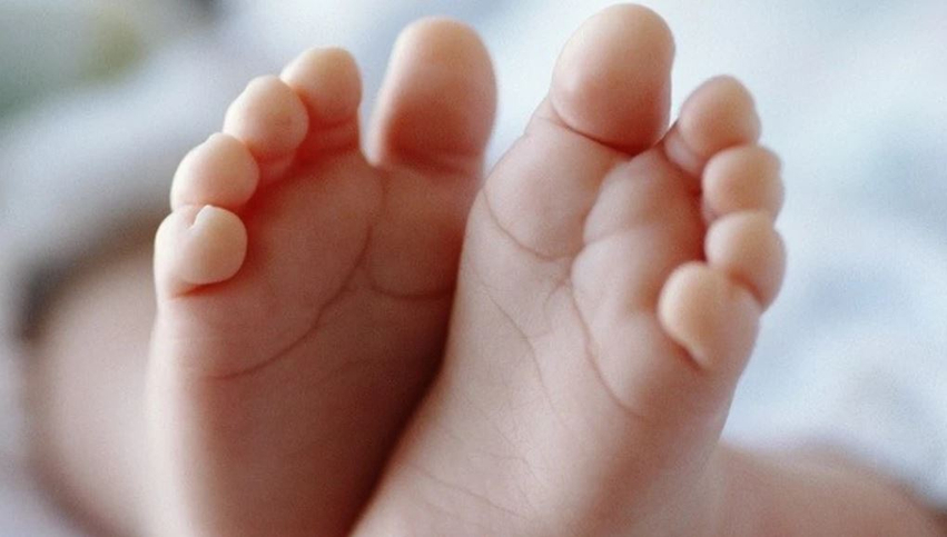 ESHS  Shkupi kryeson me lindjet  rajoni lindor me përqindjen më të ulët në vend