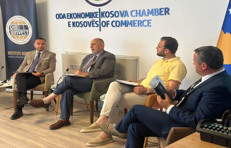 Diversifikimi energjetik, me rëndësi për ekonominë