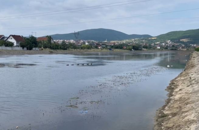 Gjendja aktuale në Liqenin Akumulues, Haliti: Barishtet janë dukuri natyrore, pastrimi është bërë sipas kapaciteteve ekzistuese