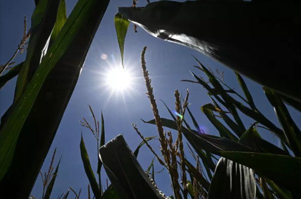 ​Vala e tretë e të nxehtit pritet të paktën deri më 20 korrik