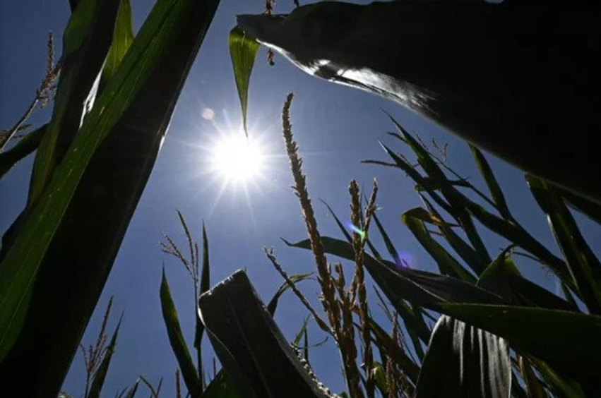 Vala e tretë e të nxehtit pritet të paktën deri më 20 korrik