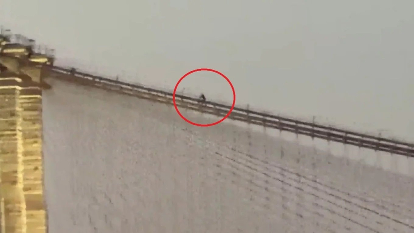 Momente tensioni në Urën e Bruklinit  Burri ecën mbi kabllot në lartësi të madhe  bllokohet trafiku