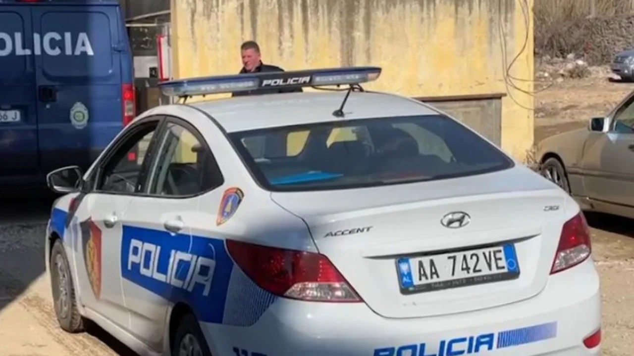 E rëndë në Kolonjë! Po ngarkonte trupa druri në një subjekt privat, aksidenti në punë i merr jetën 36-vjeçarit