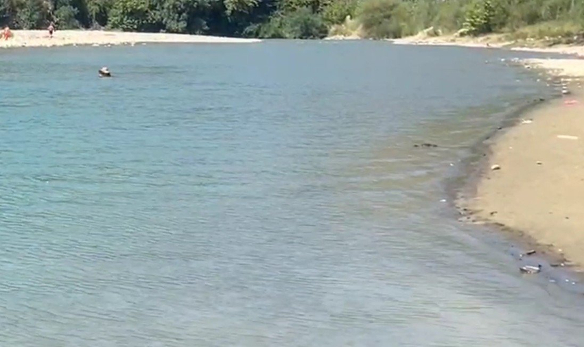 Ishte duke punuar në arë me babain dhe hyn në lum për t u larë  mbytet 15 vjeçari