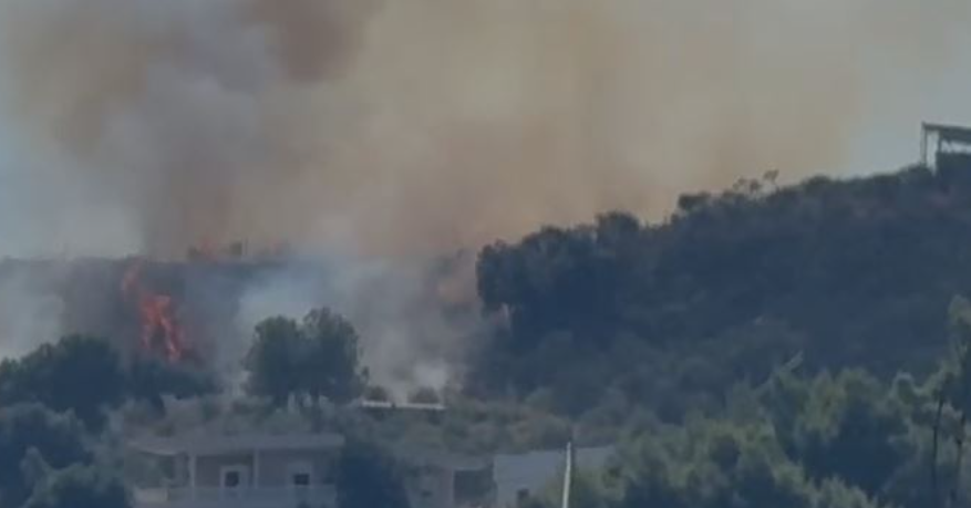 Vlorë/ Zjarr në lagjen ’15 Tetori’, flakët përfshijnë një hapësirë me pisha e shkurre