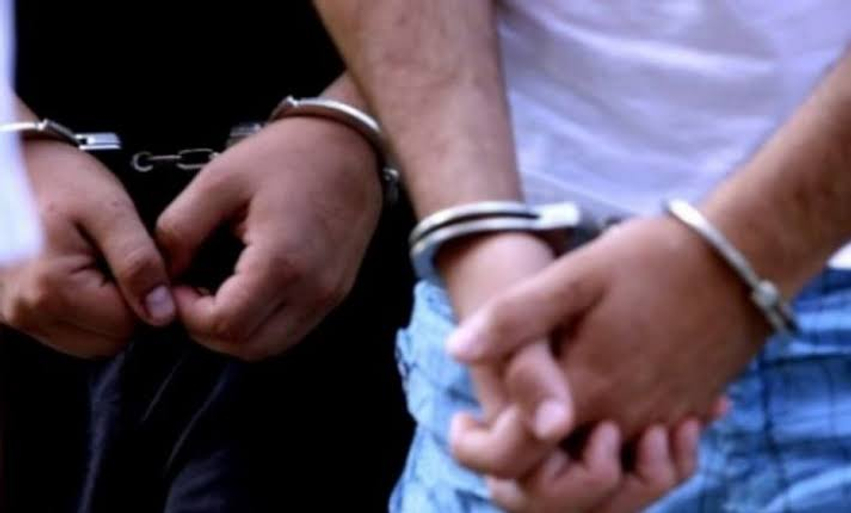 arrestohen-tre-persona-ne-mitrovice-synuan-tjetersimin-e-21-pronave-te-paluajtshme