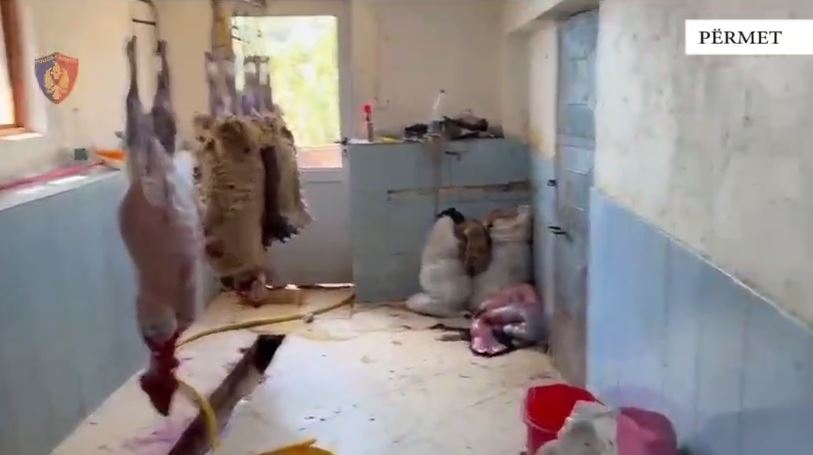 Kishte kthyer shtëpinë në thertore dhe mbetjet i hidhte në lumin Vjosë, arrestohet 62-vjeçari