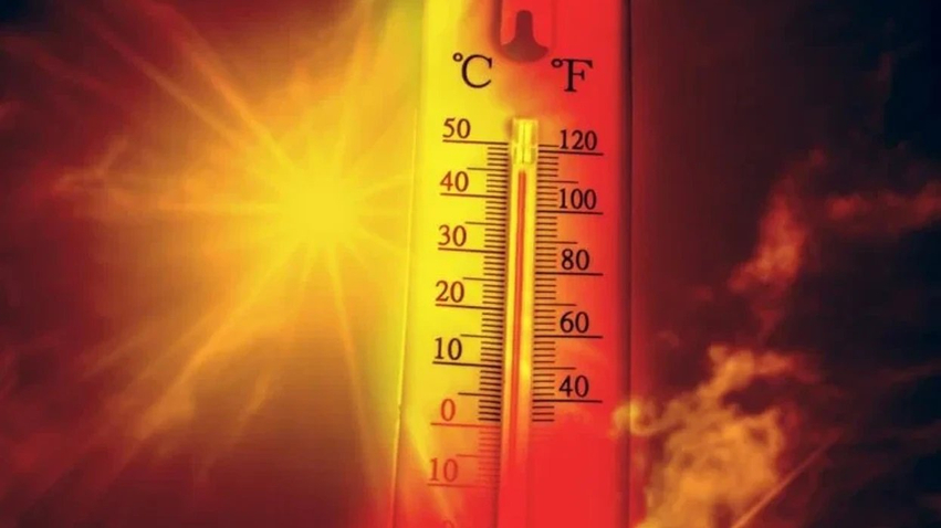 rreth-700-hektare-pyje-digjen-nga-zjarr-i-madh-prane-madridit
