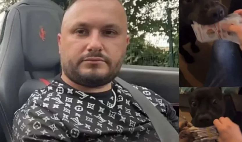Trafikanti shqiptar sfidon autoritetet britanike, Dorian Puka “ushqen” qentë me kartëmonedha paund