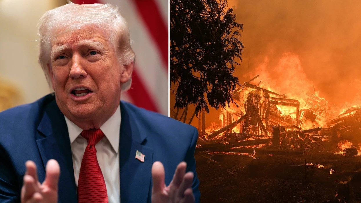 Trump fajëson Kanadanë për tymin nga zjarret: Po na helmon ajrin