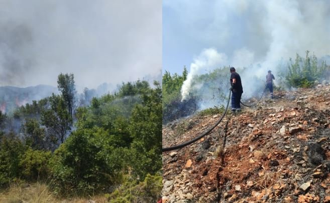 Vatër masive zjarri në Qafë Thanë, flakët përhapen me shpejtësi nga temperaturat e larta dhe era