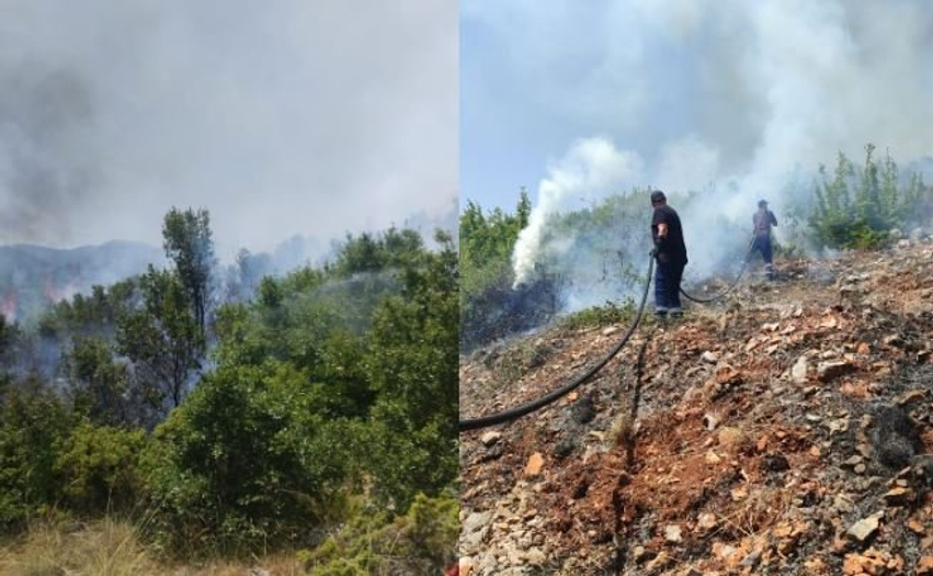 Vatër masive zjarri në Qafë Thanë, flakët përhapen me shpejtësi nga