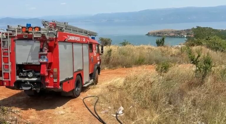 Izolohen flakët në zonën e Qafë-Thanës, nis hetimi për zjarrvënësit