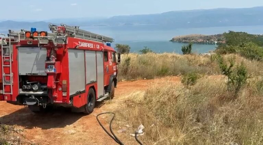 Izolohen flakët në zonën e Qafë Thanës  nis hetimi për zjarrvënësit