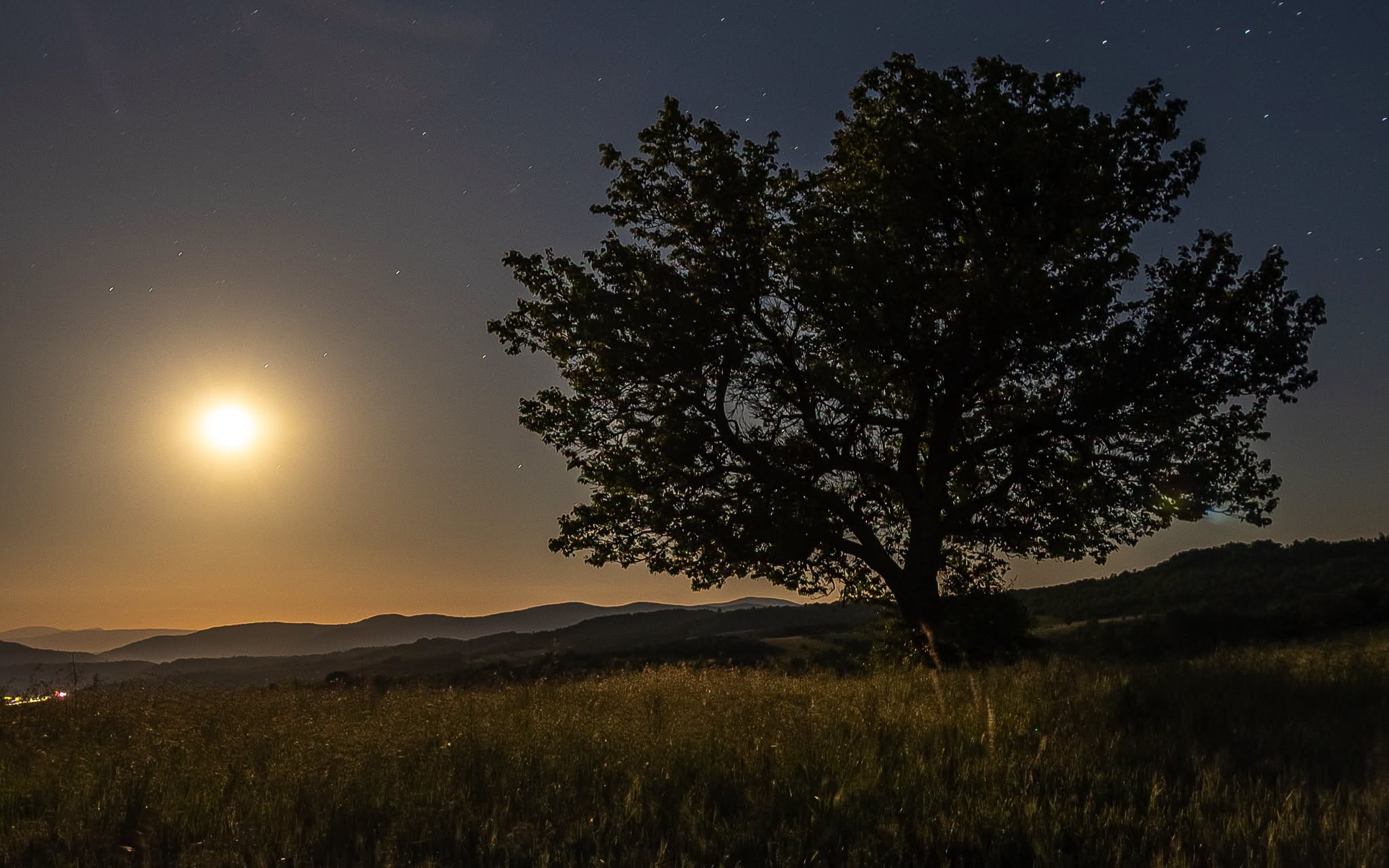 Pamje magjep&euml;se e natyr&euml;s. / Fotografia: Arian Mavriqi
