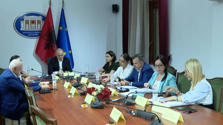 “Delirant, budalla”, ish-ministri Hasani fyen eurodeputetin. Debate