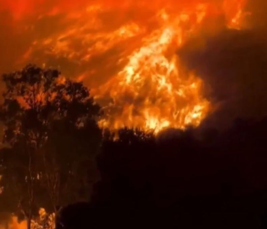 Zjarrfikësit në betejë me flakët në Siçili  mbi 1000 vatra zjarri nga temperaturat ekstreme