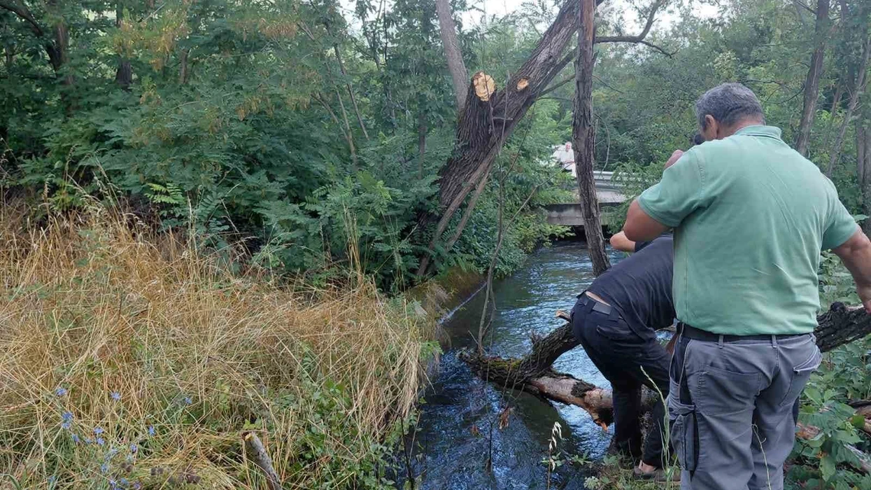 KRU “Drini i Bardhë” nis sanimin e dëmeve pas vërshimeve dhe erërave të forta