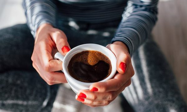 Studimi i ri: Përbërësit e kafesë mund të ndihmojnë në mbrojtjen e qelizave gjatë plakjes