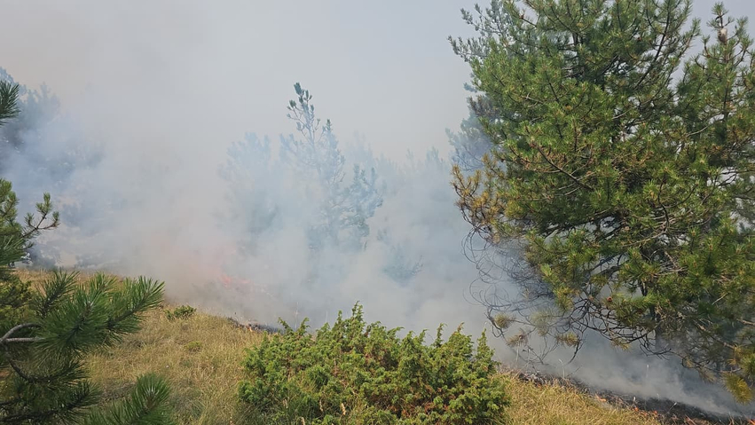Riaktivizohet sërish në ditën e tretë zjarri në fshatin Lekas dhe Voskopojë  digjet pylli dhe pishat