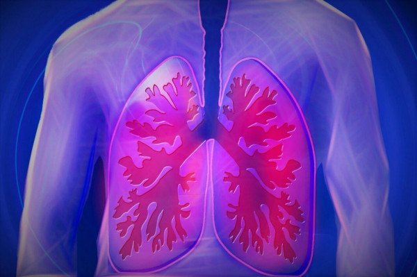 ​Imunoterapia rinovon mushkëritë dhe eliminon qelizat e plakura