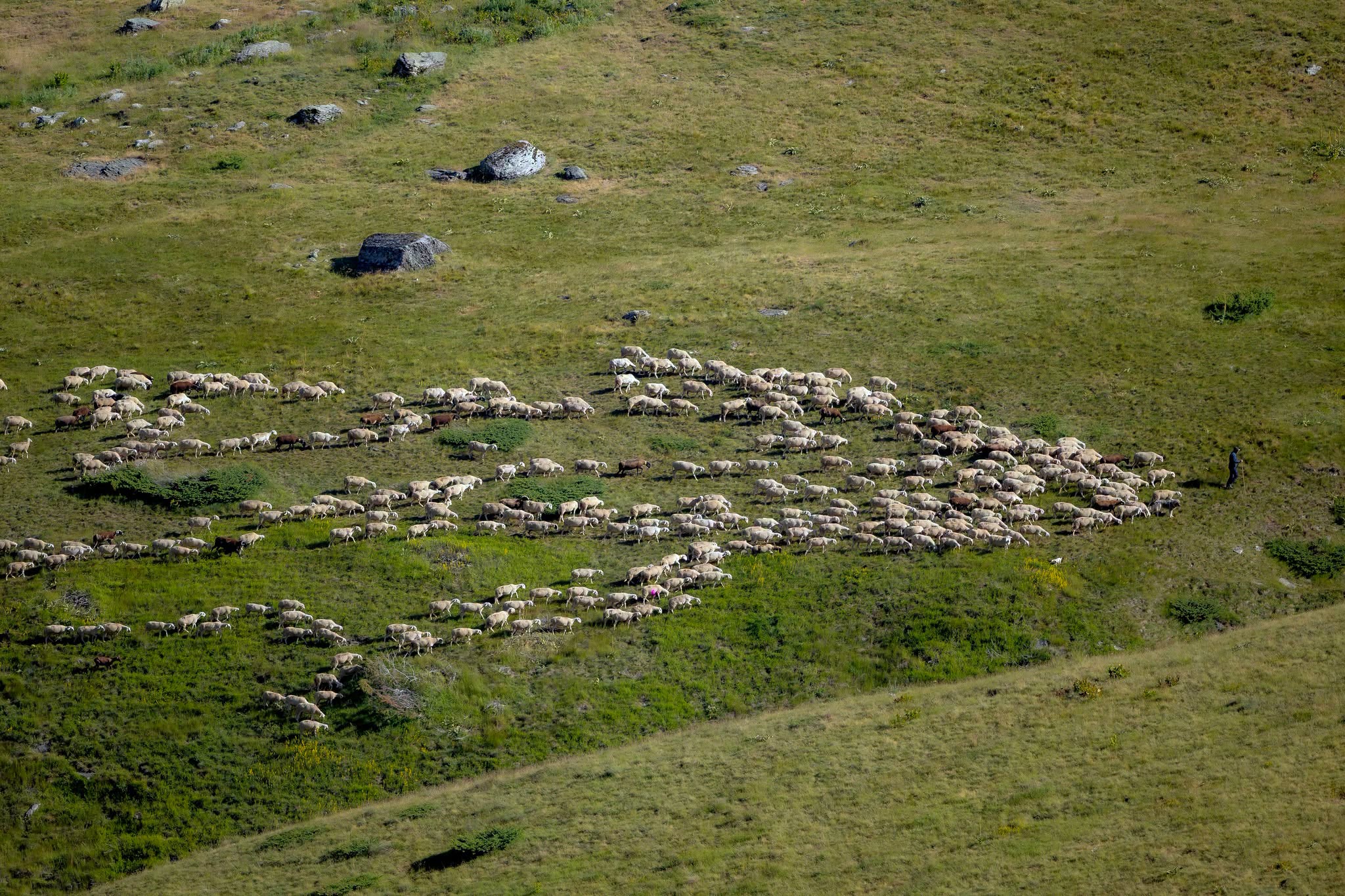 Fotoja paraqet nj&euml; peizazh t&euml; gjer&euml; malor me kullota t&euml; gjelbra, ku nj&euml; tuf&euml; e madhe delesh po l&euml;viz...