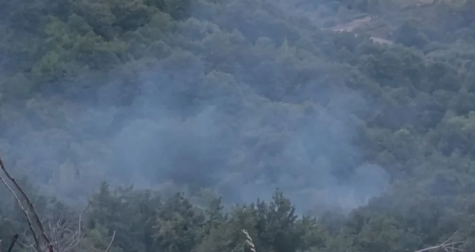 Zjarr edhe në Peshtan të Fierit, digjet një sipërfaqe me shkurre e lisa