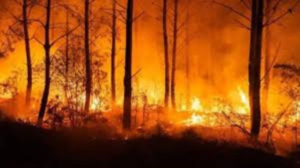 ​Vazhdojnë zjarret në Francë dhe Spanjë, era e fortë përhap flakët, rreth 300 mijë të evakuuar