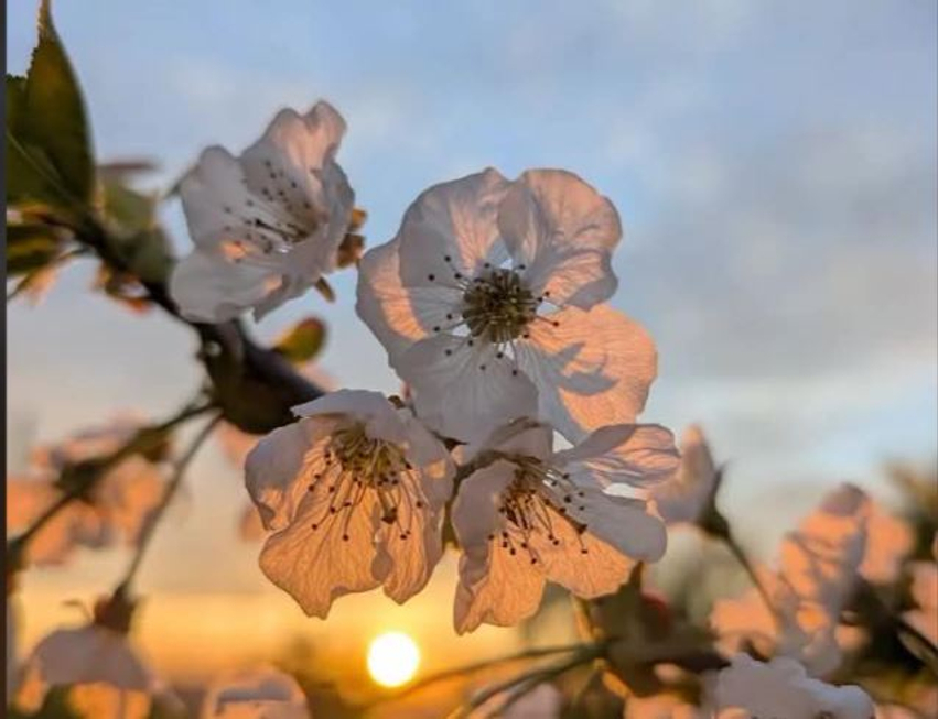E diel e ngrohtë  temperaturat arrijnë në 31°C