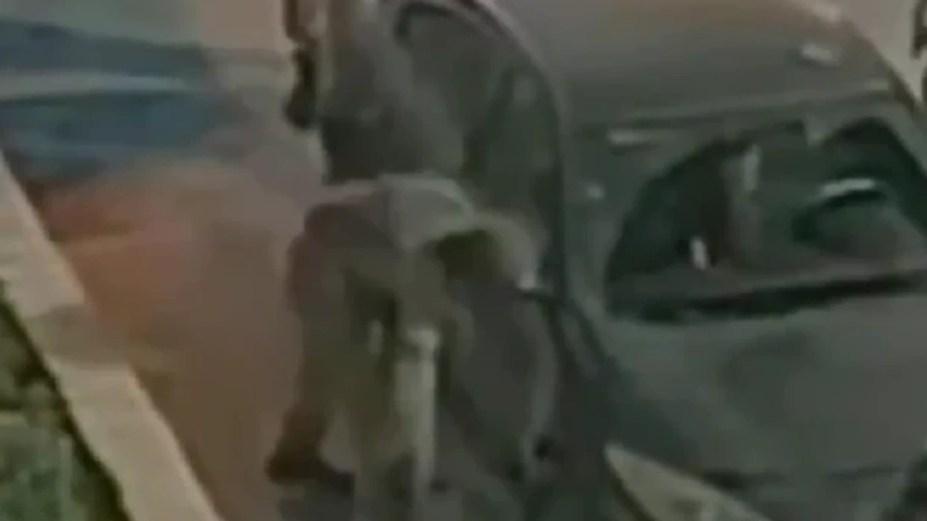 Ushtari izraelit shpon gomat e makinave palestineze  godet xhamat me qytën e pushkës
