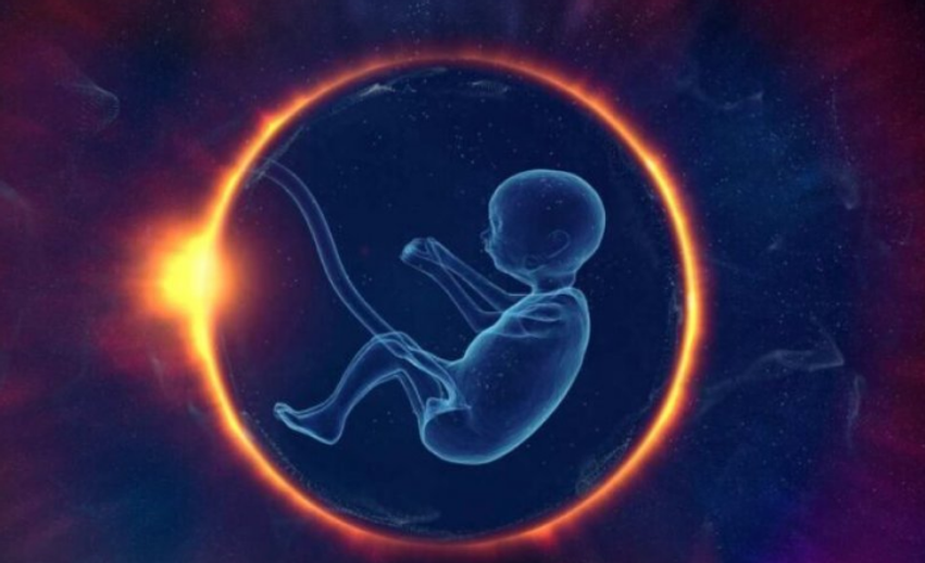 Si ndikojnë fibromat e mitrës në fertilitet 