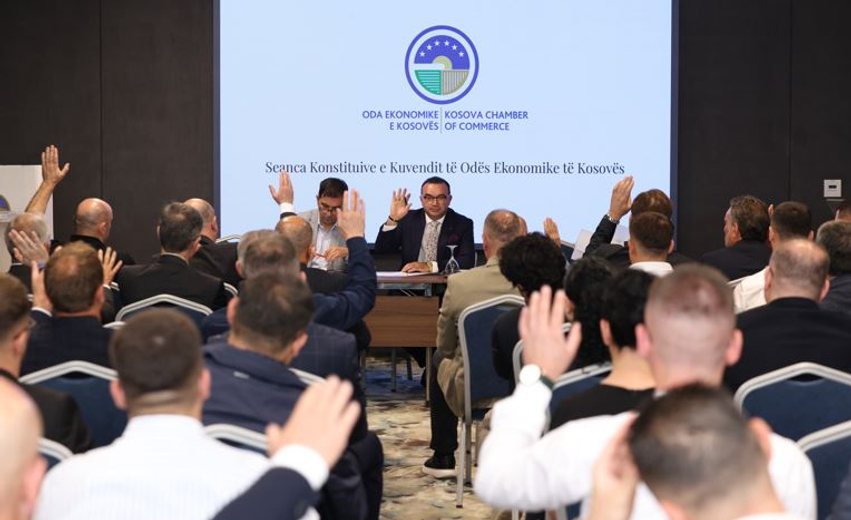 lulzim-rafuna-rizgjidhet-kryetar-i-odes-ekonomike-te-kosoves