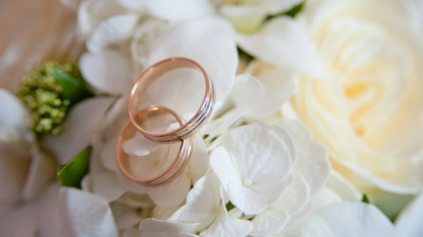 ESHS  Ulet numri i martesave  rritet i divorceve në Maqedoni