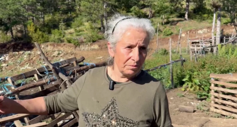 Flet për herë të parë nëna autorit të vrasjes së efektivit Enea Mekolli, zbulon detajet e ngjarjes