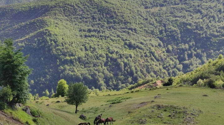 Zhduken dy turistë gjermanë në malin e Polisit në Librazhd