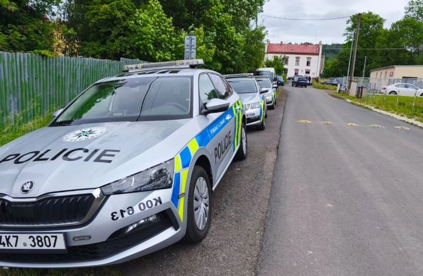 Gruaja 35 vjeçare akuzohet për vrasjen e fëmijës së saj të porsalindur  dyshohet se ua hodhi qenve