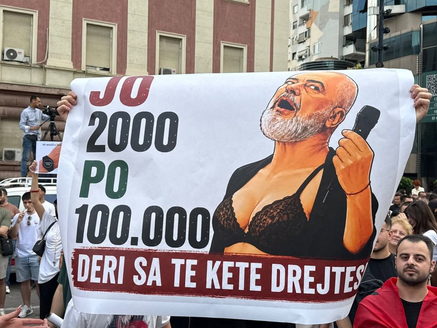 Meme, humor dhe revoltë, ja disa prej pankartave më pikante në shesh
