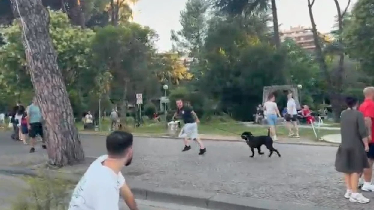 Dalin pamjet, protestuesit në Shqipëri ndjekin të riun me pitbull pas përplasjes verbale