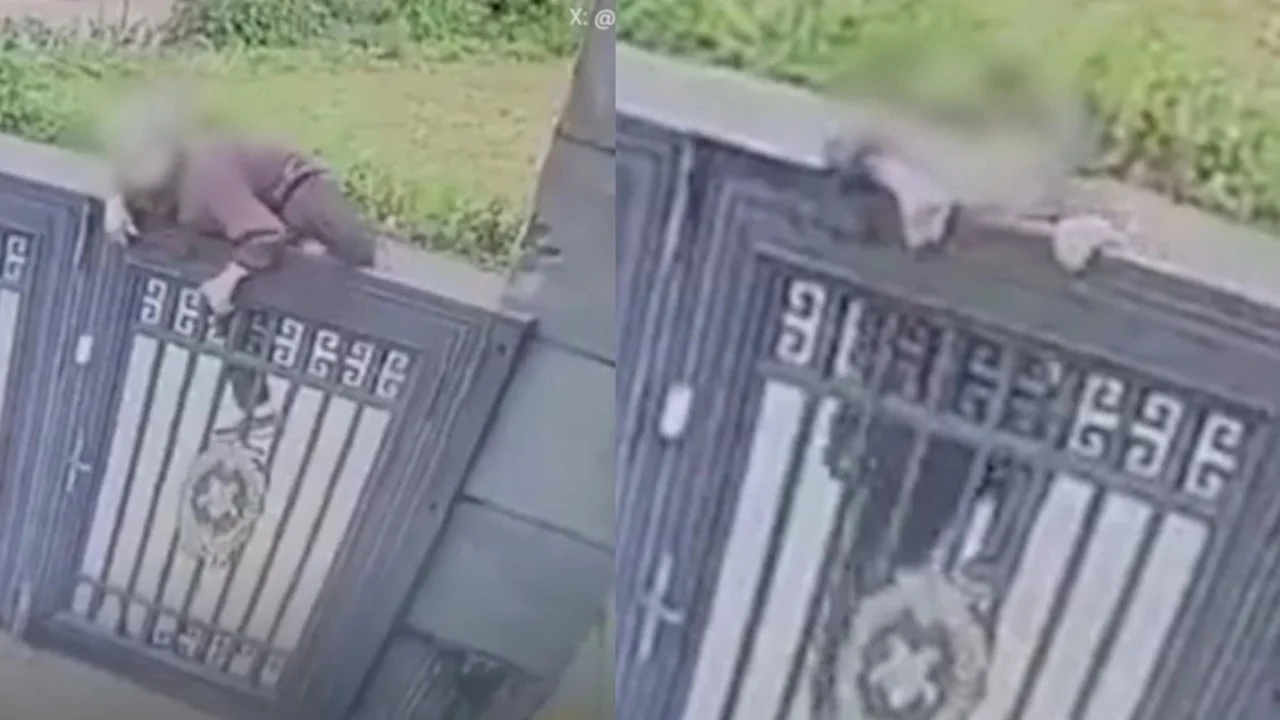 E çuditshme, por e vërtetë! E moshuara 92-vjeçare arratiset nga azili duke kapërcyer derën dy metra të lartë
