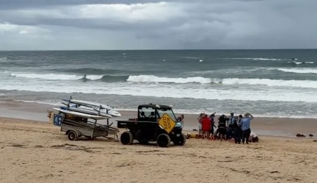 Momente paniku në Coogee Beach, 35-vjeçarja sulmohet nga një peshkaqen i madh!