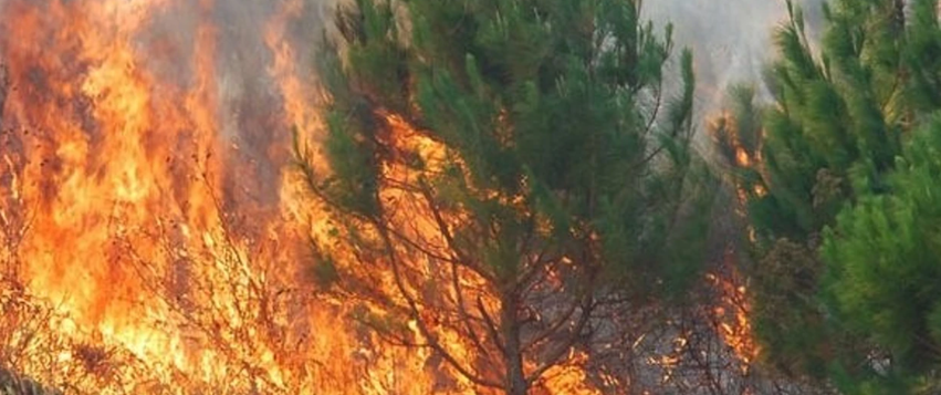 Sot janë shkaktuar 13 zjarre në Maqedoni  një prej tyre është ende aktiv