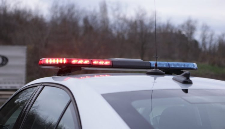 Policia gjen tetë vazo të mbjella me kanabis në një shtëpi në Kaçanik