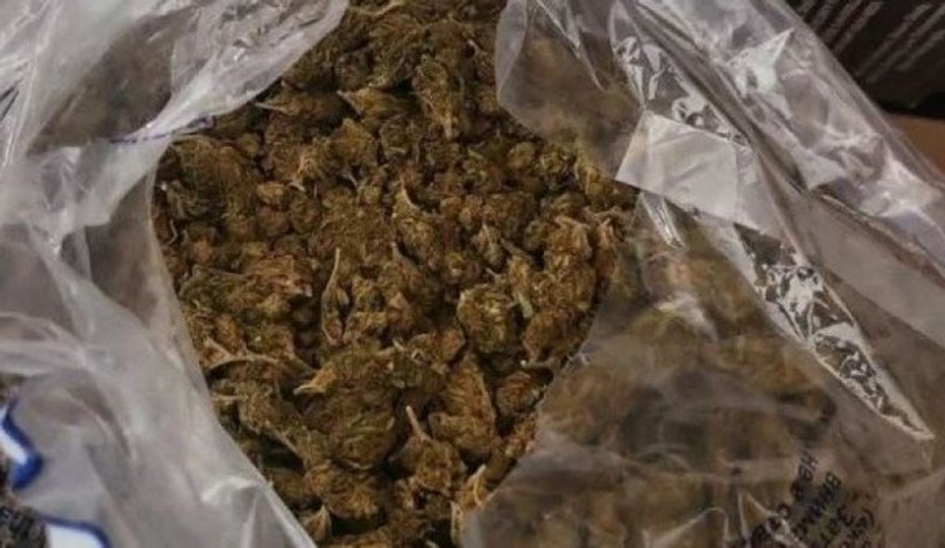 AKI ja dhe Policia kapin 60 kilogramë marihuanë  prangosen edhe shtetas të huaj