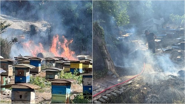 Zjarr pranë Humelicës në Gjirokastër/ Rrezikohen banesat dhe parku i bletëve