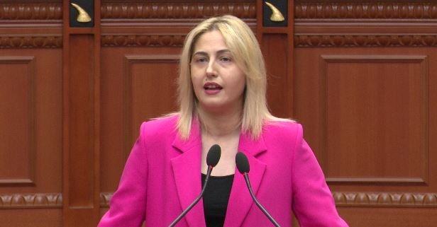 “Aksionerët i zuri mallkimi i flamingove”/ Zhupa reagon për përplasjet në Aeroportin e Vlorës: Rama vendosi interesat e ngushta mbi ligjin
