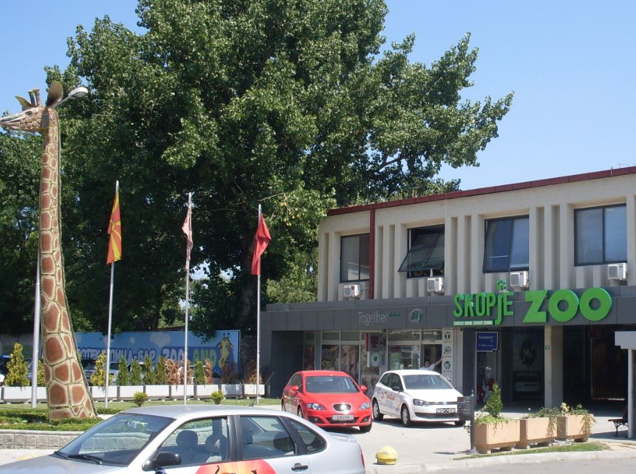 Arratisja e ujqërve në Kopshtin Zoologjik në Shkup, kërkohet mbyllja dhe inspektimi i tij