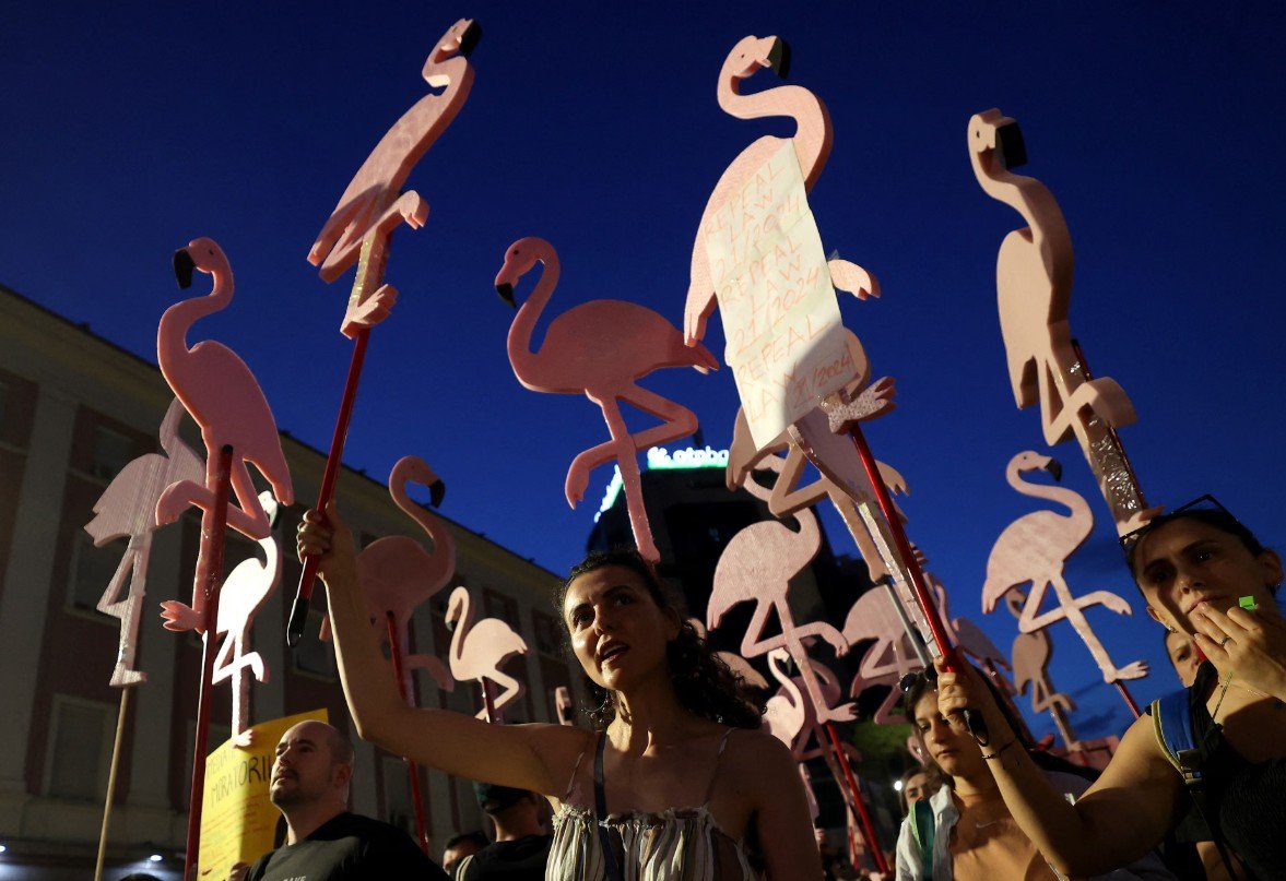 Protestuesit mbajn&euml; flamingo imituese nd&euml;rsa mblidhen para zyr&euml;s s&euml; kryeministrit t&euml; Shqip&euml;ris&euml; p&euml;r t&euml;...