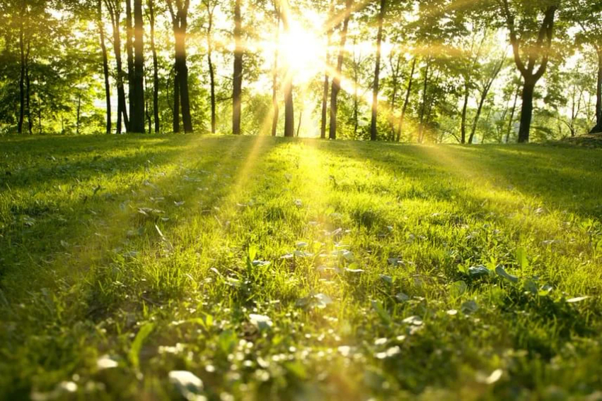 Mot me diell  temperaturat deri në 32°C