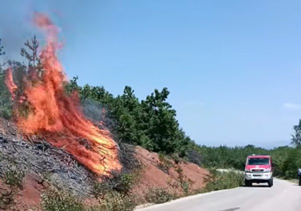 Marrin flakë varrezat dhe gështenjat në Deçan, intervenojnë zjarrfikësit